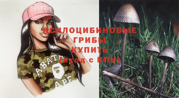 стаф Алзамай