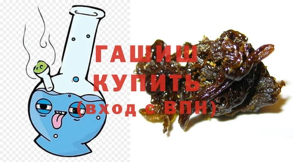 стаф Алзамай