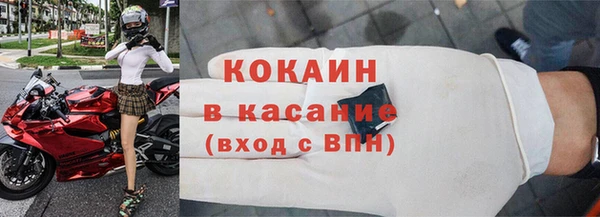 стаф Алзамай