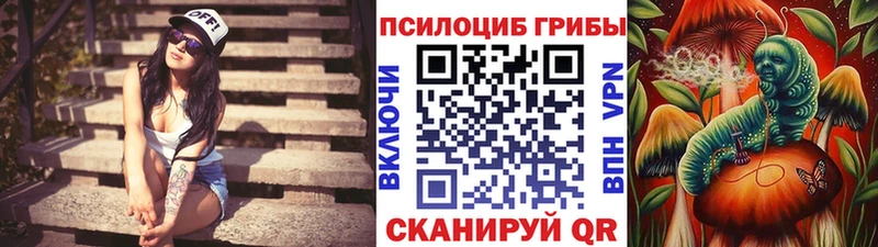 что такое   кракен ТОР  Псилоцибиновые грибы Psilocybine cubensis  Углич 