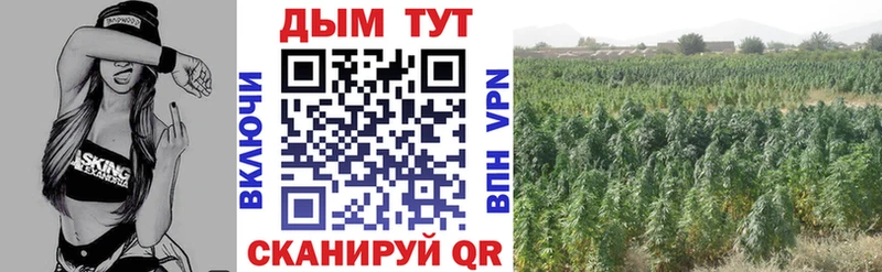 МАРИХУАНА семена  Углич 